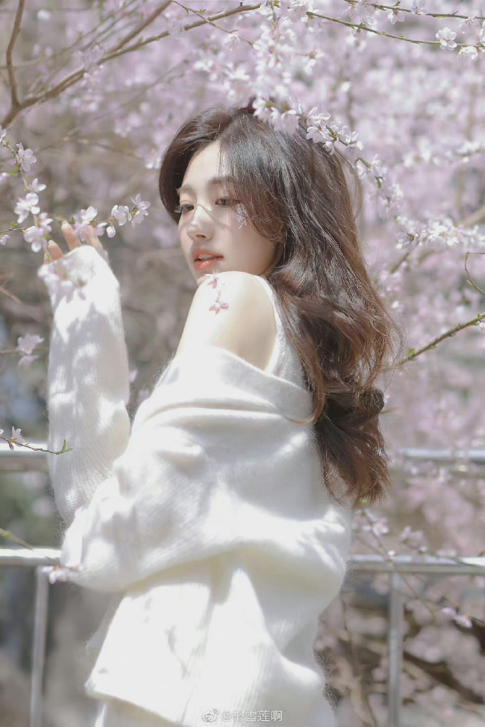 待到春风十里，愿有樱花漫盛世@朴雪莲啊