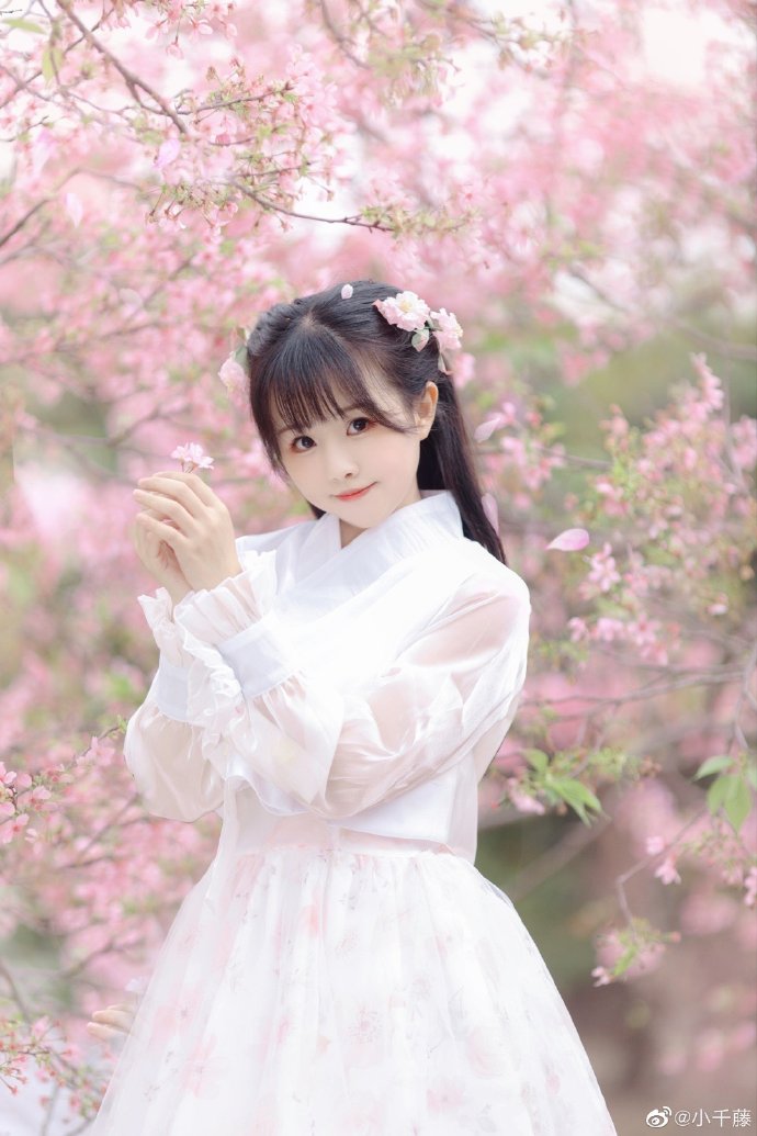 樱花掉落的速度是…—————————————摄影： 谢嘉楠出