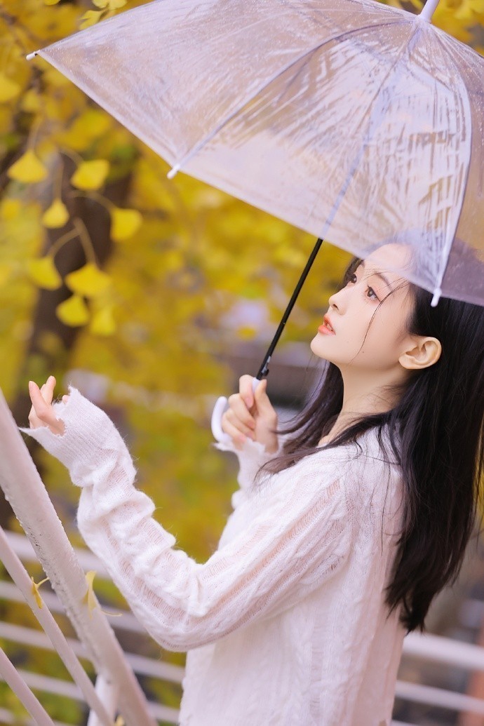 再不发银杏就春天了摄影@陈半厨