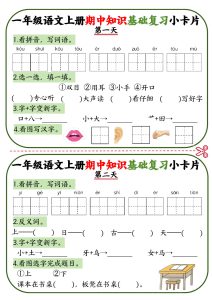 【期中知识点复习小卡片.1】一年级上册语文