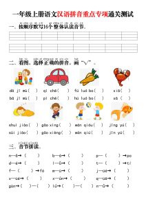 一年级上册语文 汉语拼音重点专项通关测试卷